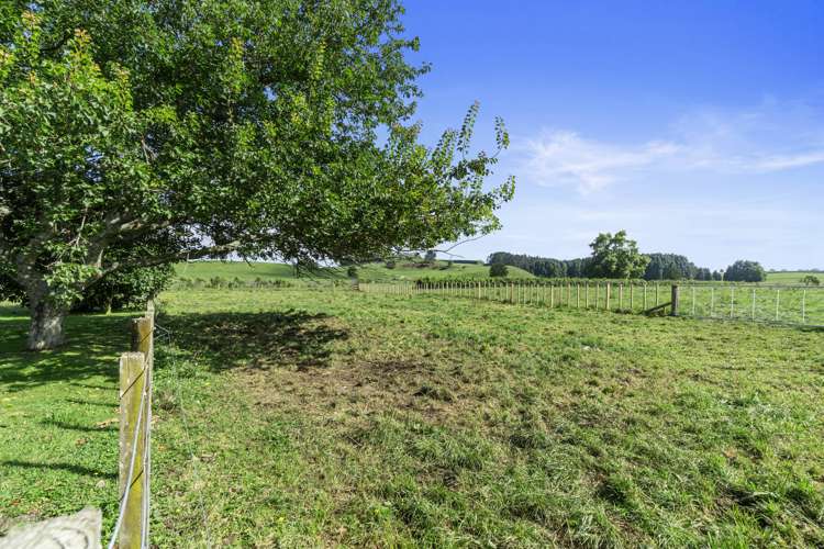 690 Frontier Road Pirongia_24