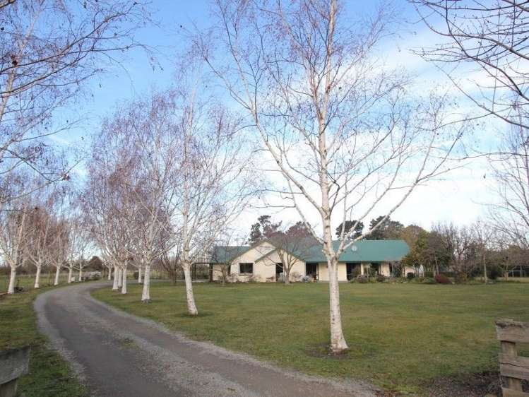 61 Albert Street Netherby_14