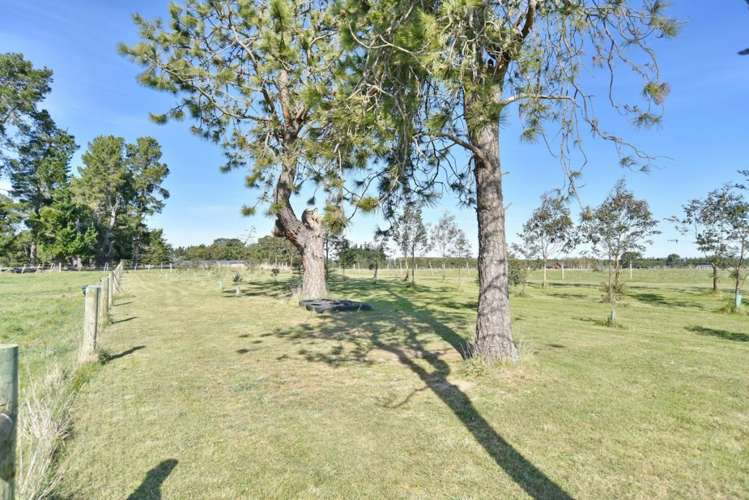 260c Foothills Road Okuku_29