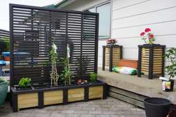 Screen star for sale in Tauranga