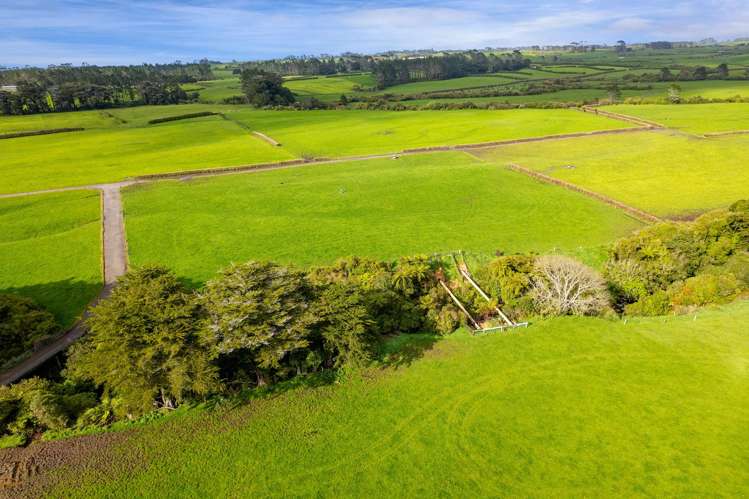 299 Cardiff Road Cardiff_23