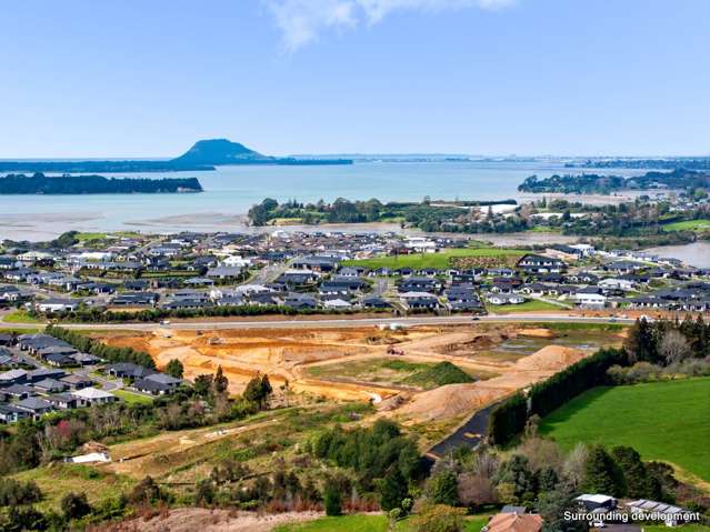 61 Prole Road Omokoroa_4