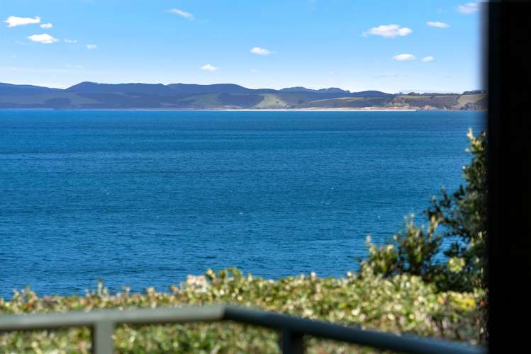 14 Penguin Street Leigh_5