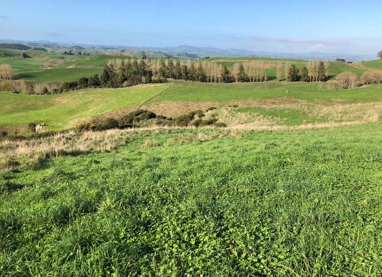 57 Earle Road Pukeatua_6