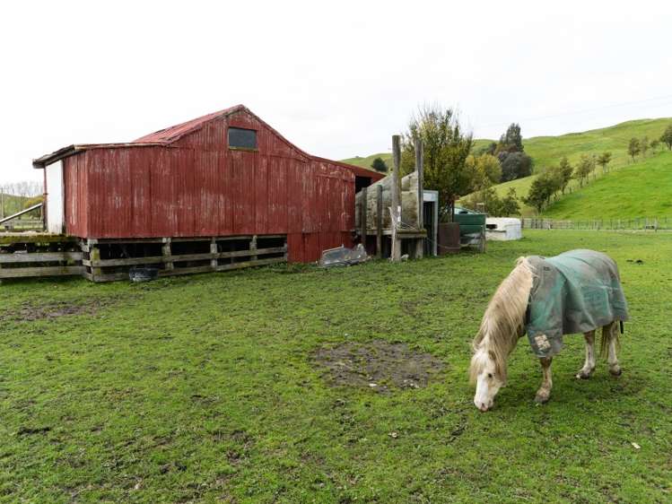 523 Valley Road Central Hawkes Bay Coastal_11