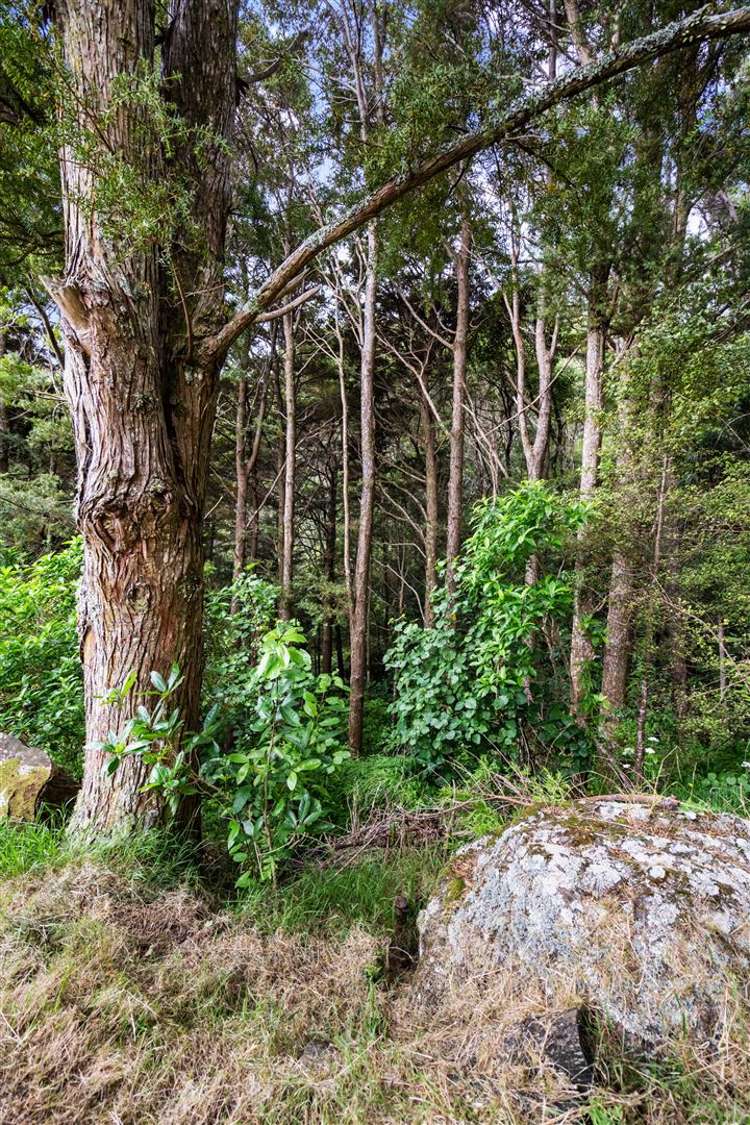 69 Memorial Drive Parahaki_24