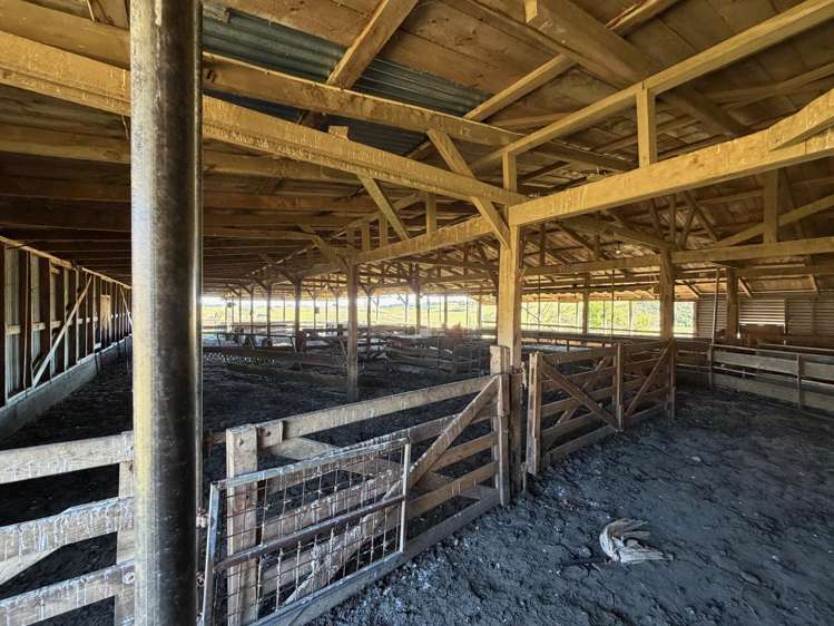 820 Wyndham Valley Road Glenham_16