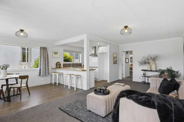 66B Albert Street St Clair_4