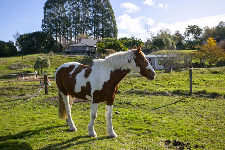 4/864 Whangamata Road Kinloch_5