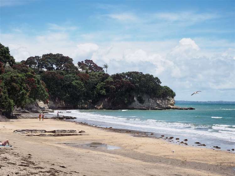 67 Old Lake Road Narrow Neck_17