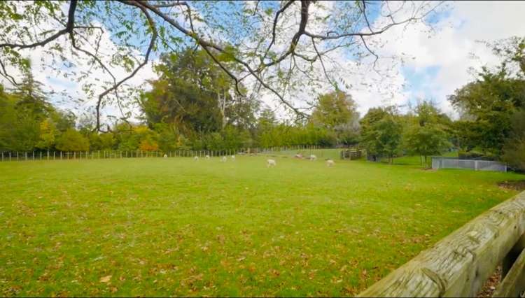 37 Island View Road Karaka_19