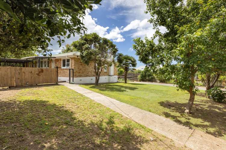 31 Harrier Street Parkvale_17