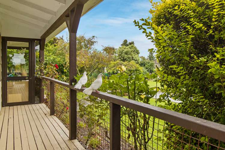 7 Hillview Place Pleasant Point_19