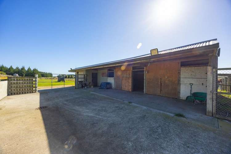 163 Downs Road Himatangi_30