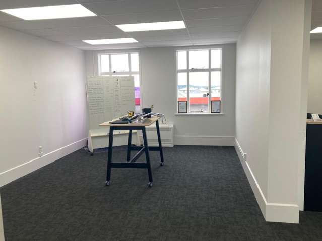 205 Jackson Street Petone_2