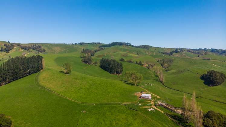 356 Lurman Road Otorohanga_1