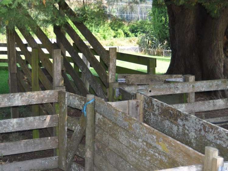 1230 Opaki Kaiparoro Road Mauriceville_18