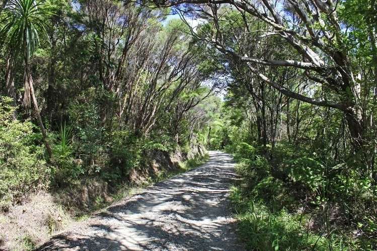 248 Rosalie Bay Road Great Barrier Island (Aotea Island)_10