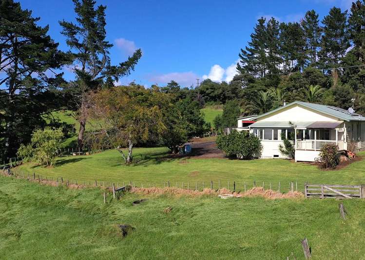 2442 South Head Road Helensville_30