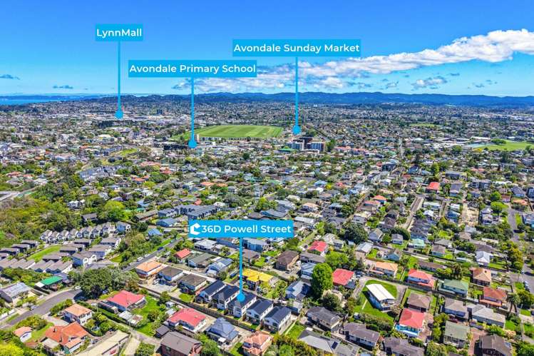 36D Powell Street Avondale_26