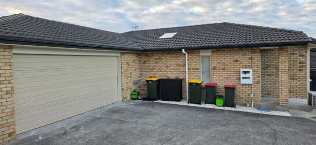 58 Aspiring Avenue Flat Bush_2