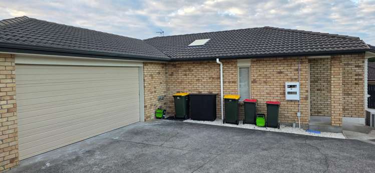 58 Aspiring Avenue Flat Bush_2