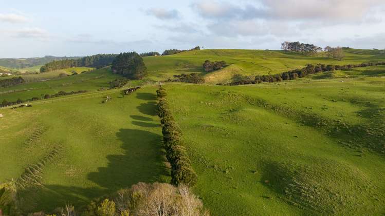764 Peak Road Helensville_30