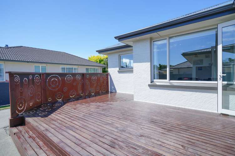 98 Ward Street Waverley_19