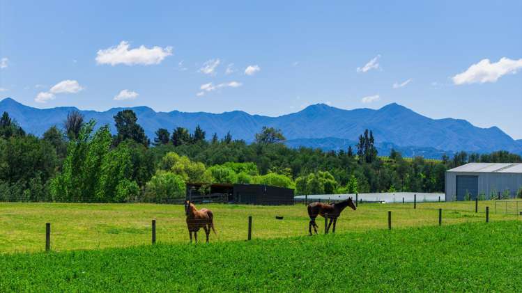 376 Tyntesfield Road Waihopai Valley_23