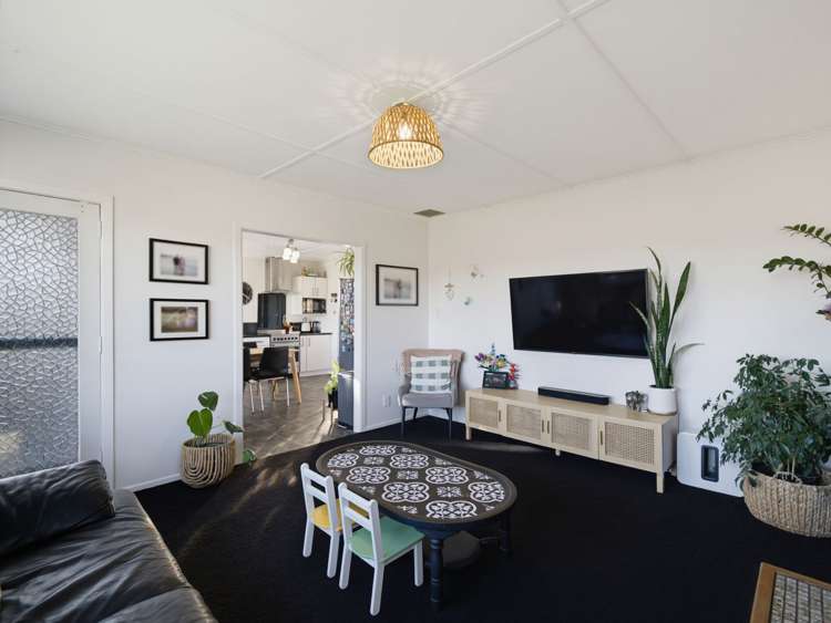 184 Guppy Road Taradale_7