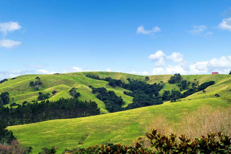 17 Rauta Way Helensville_15