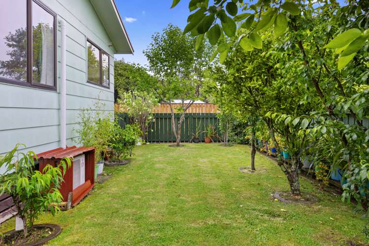 29b Douglas Street Whakatane_12
