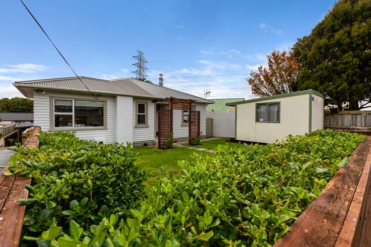 7 Saxton Road Upper Vogeltown_20