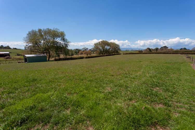 350 Tauhei Road Morrinsville_5