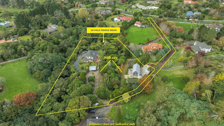 56 Polo Prince Drive Totara Park_25
