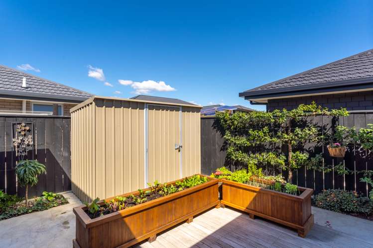 41 Ara Drive Redwoodtown_21