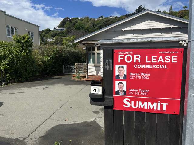 Standalone Space in High-Visibility Tahunanui