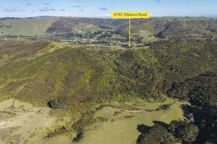 474C Makara Road Makara_9