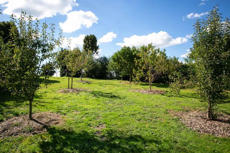 171 Gunn Road Waharoa_20