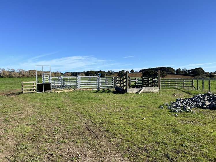 678 Waiuku Road Mauku_5