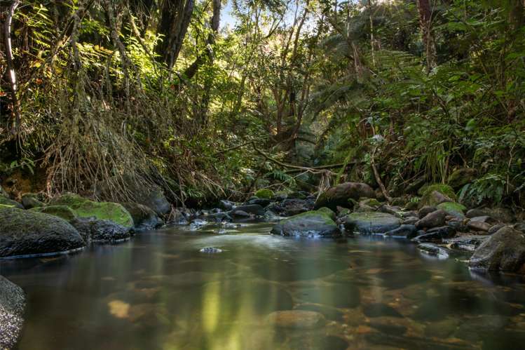 449 Kauaeranga Valley Rd Thames_29