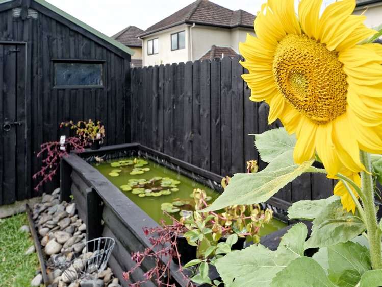 20 Albizia Avenue Henderson_22