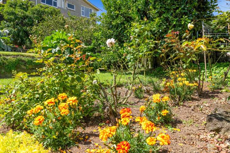 26 Bayly Road Moturoa_21