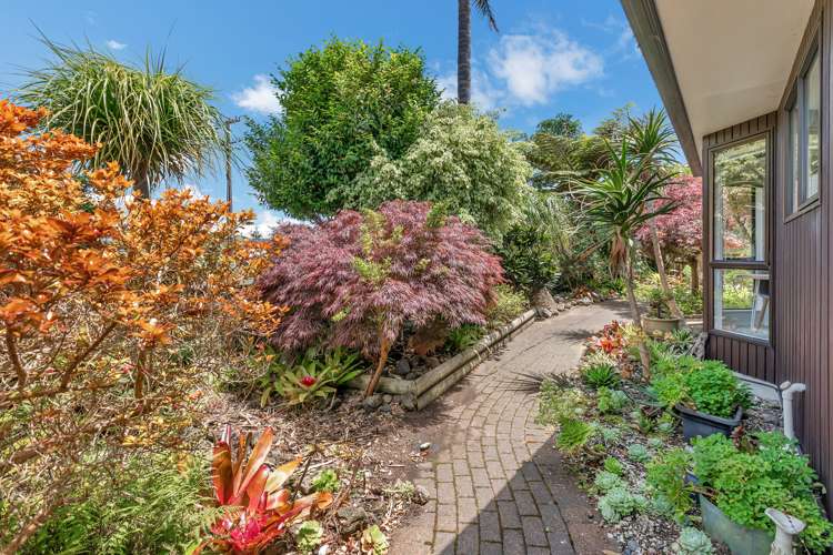 1/2 Graham Street Regent_13