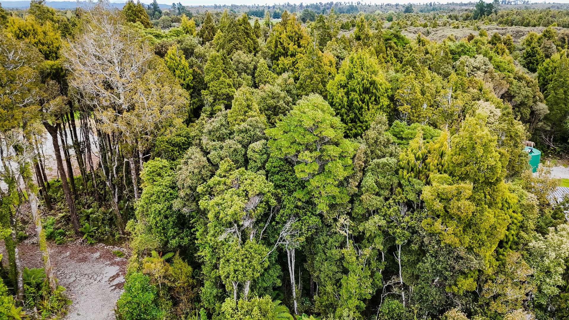 8 Harrison Place Kumara Junction_0