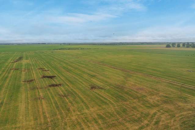 Burnham Road Temuka_2