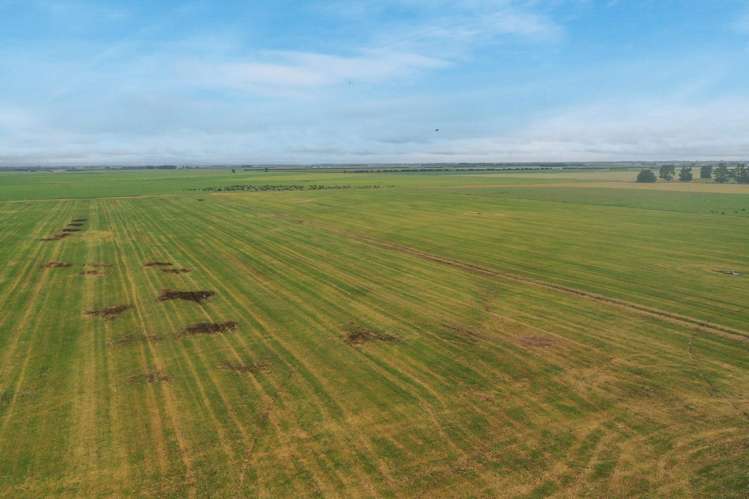 Burnham Road Temuka_2