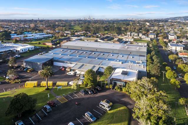 56 Carrington Road Point Chevalier_4