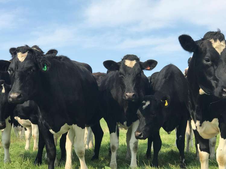 1599 Hundred Line Road East Winton_9