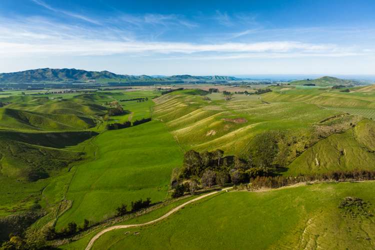 Marama Road Seddon_25